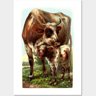 Cow with Calf Vintage Illustration Posters and Art